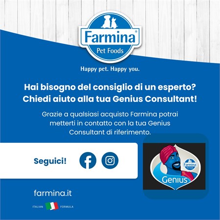 Farmina N/d Pumpkin Grain Free Ocean Adult Aringa Zucca e Arancia 300 gr Per Gatti in Gatti