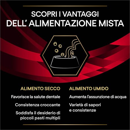 Purina Pro Plan Veterinary Diets DM Diabetes Management Pollo Bustina 85 gr Per Gatti in Gatti