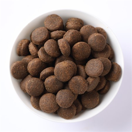 Farmina N/D Ancestral Low Grain Medium Maxi Adult Agnello e Mirtilli 2,5 kg Per Cani in Cani