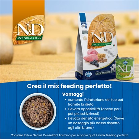 Farmina N/D Ancestral Low Grain Medium Maxi Adult Agnello e Mirtilli 2,5 kg Per Cani in Cani