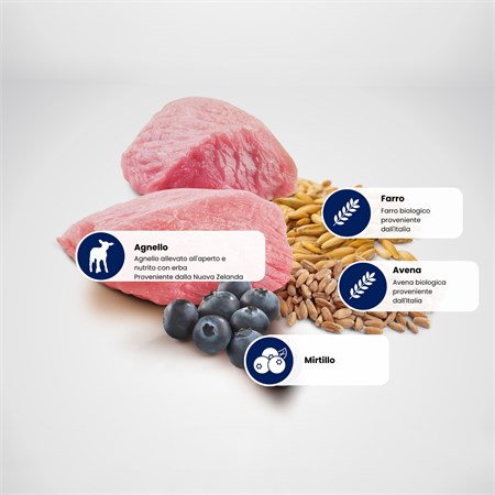 Farmina N/D Ancestral Low Grain Medium Maxi Adult Agnello e Mirtilli 2,5 kg Per Cani in Cani