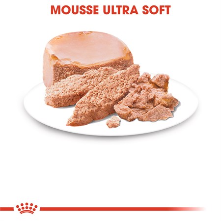 Royal Canin Starter Mousse Mother & Babydog 195 gr Scatoletta Umido Per Cane in Cani