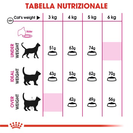 Royal Canin Exigent Savour Sensation 400 gr Secco Gatto in Gatti