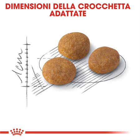 Royal Canin Exigent Aroma 400 gr Secco Gatto in Gatti