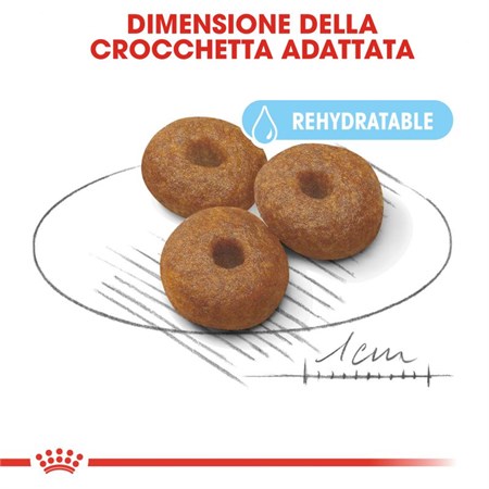 Royal Canin Maxi Starter Mother & Babydog 15 kg Per Cane in Cani