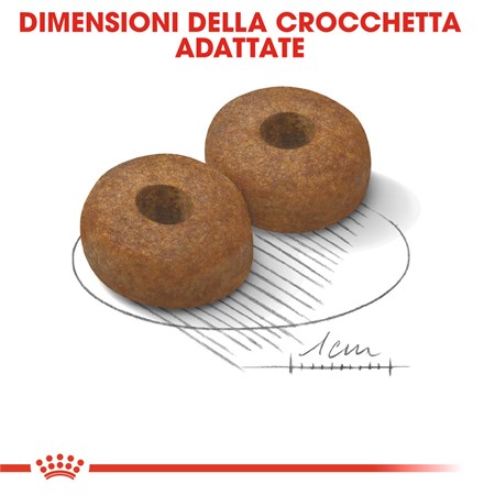 Royal Canin Maxi Ageing 8 + Kg 3 Secco Cane in Cani