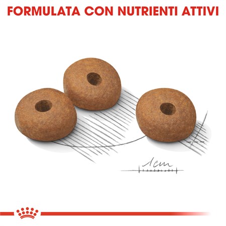 Royal Canin Medium Light Weight Care 12 kg Per Cane in Cani