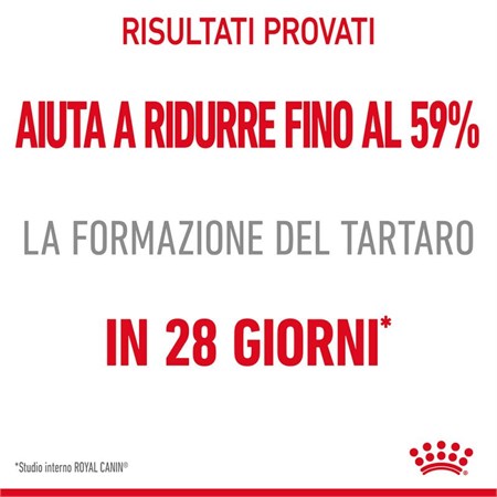 Royal Canin Dental Care 400 gr per Gatto in Gatti