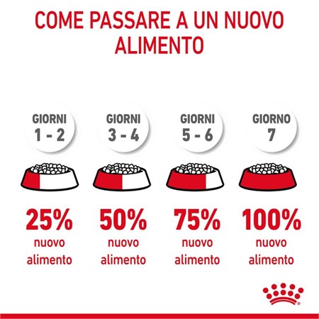 Royal Canin Dental Care 400 gr per Gatto in Gatti