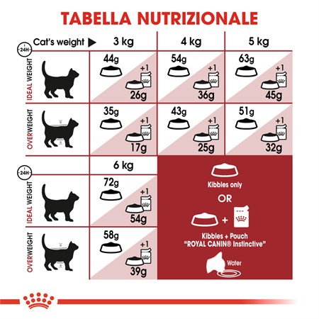 Royal Canin Regular Fit 32 - 400 gr Gatto in Gatti