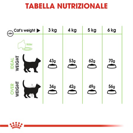 Royal Canin Digestive Care 4 Kg Gatto in Gatti