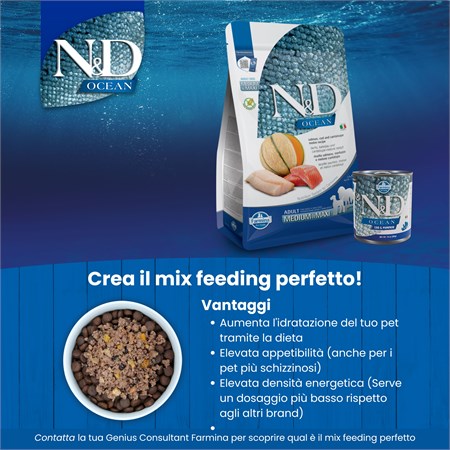 Farina Di Salmone 2,5Kg - Ottima Per Esche Fatte In Casa | Pesce Di Qualità A 4,99€/kg