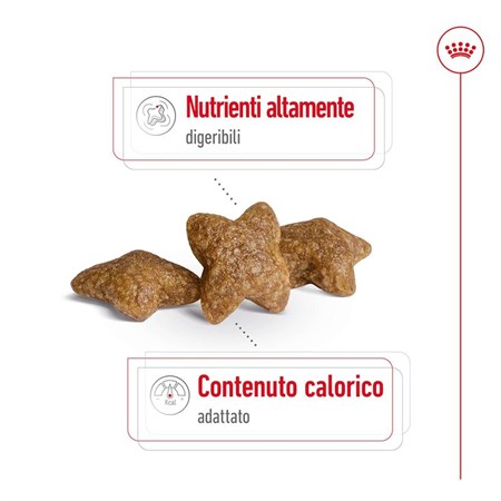 Royal Canin Mini Adult 8+ 2 Kg per Cani in Cani