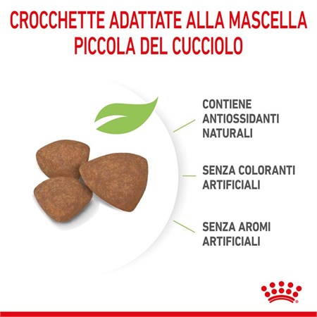 Royal Canin Mini Puppy 800 gr in Cani