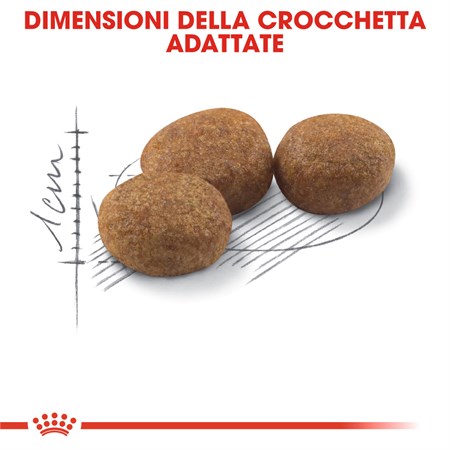 Royal Canin Sterilised 400 gr Gatto in Gatti