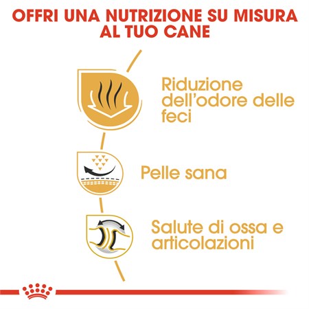 Royal Canin Bulldog Inglese Adult kg 12 in Cani