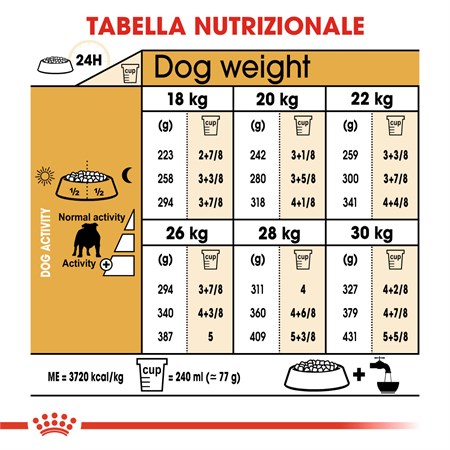 Royal Canin Bulldog Inglese Adult kg 12 in Cani