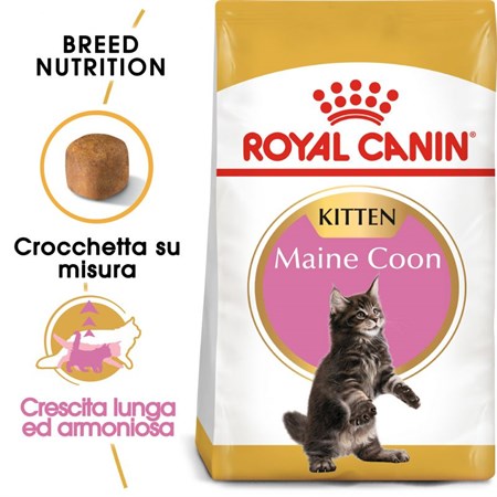 Royal Canin Kitten Maine Coon 400 gr in Gatti