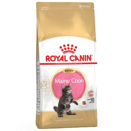 Royal Canin Kitten Maine Coon 2 kg in Gatti
