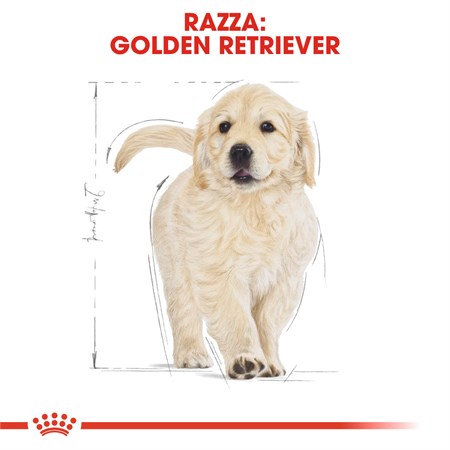 Royal Canin Golden Retriever Puppy 12 kg in Cani