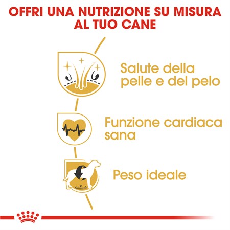 Royal Canin Golden Retriever Adult 12 kg in Cani
