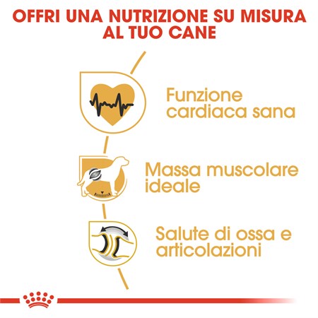 Royal Canin Rottweiler 12 kg in Cani