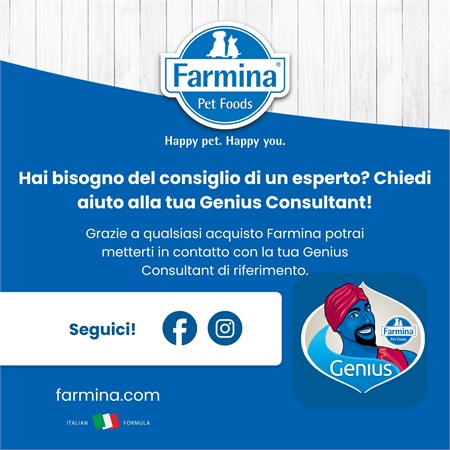 Farmina N/D Grain Free Ocean Pumpkin Puppy Medium Maxi 12 kg Merluzzo Zucca Melone in Cani