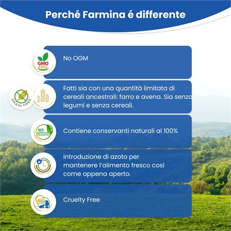 Farmina N/D Grain Free Ocean Pumpkin Puppy Medium Maxi 12 kg Merluzzo Zucca Melone in Cani