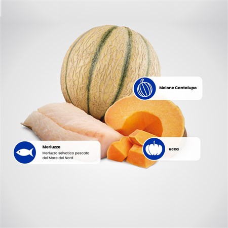 Farmina N/D Grain Free Ocean Pumpkin Puppy Medium Maxi 12 kg Merluzzo Zucca Melone in Cani