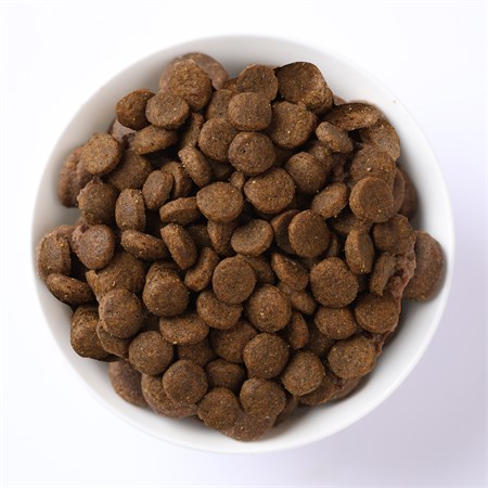 Farmina N/d Grain Free Quinoa Adult Neutered Anatra 5 Kg Per Gatto in Gatti