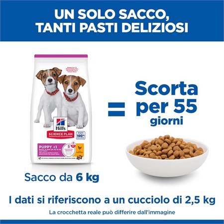 Hill's Science Plan Small & Mini Puppy con Pollo 1,5 kg in Cani