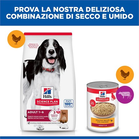 Hill's Science Plan Cane Adult Medium Agnello 2,5 kg in Cani