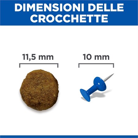 Hill's Science Plan Cane Adult Medium Agnello 2,5 kg in Cani