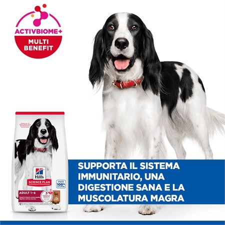 Hill's Science Plan Cane Adult Medium Agnello 2,5 kg in Cani