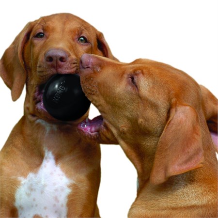 Kong Extreme Ball Small Nero Palla Porta Snack Extra Resistente in Cani
