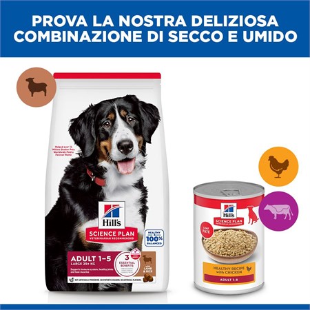 Hill's Science Plan Cane Adult Large Breed Agnello 14 kg in Cani