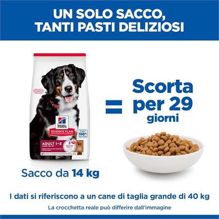 Hill's Science Plan Cane Adult Large Breed Agnello 14 kg in Cani