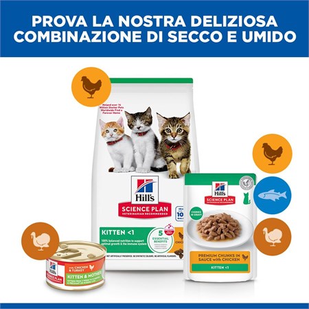 Hill's Science Plan Gatto Kitten Pollo gr 300 in Gatti