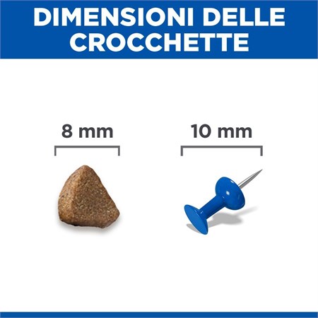 Hill's Science Plan Gatto Kitten Pollo gr 300 in Gatti