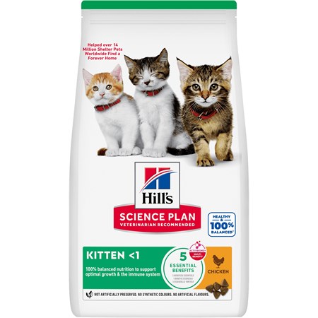 Hill's Science Plan Gatto Kitten Pollo gr 300 in Gatti
