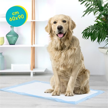 Record Tapiss 200 Tappetini Assorbenti Per Cani 60 x 90 in Cani