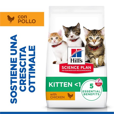 Hill's Science Plan Gatto Kitten Pollo 1,5 kg in Gatti