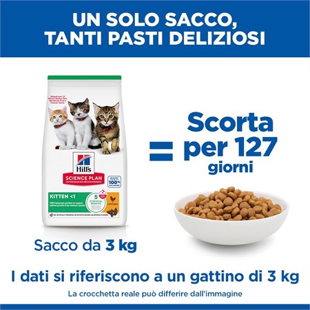 Hill's Science Plan Gatto Kitten Pollo 1,5 kg in Gatti