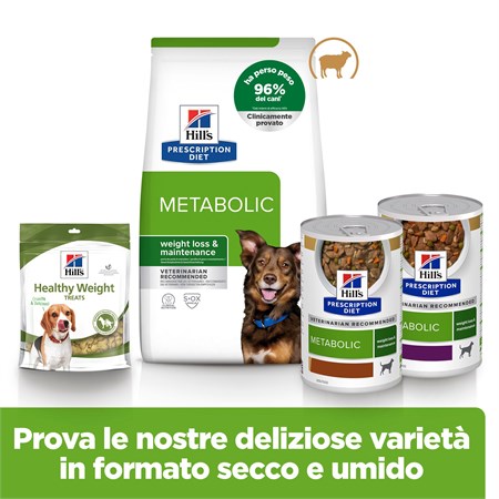 Hill's Prescription Diet Metabolic Agnello 1,5 kg per Cane in Cani