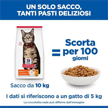 Hill's Science Plan Adult Pollo 10 kg Gatto in Gatti