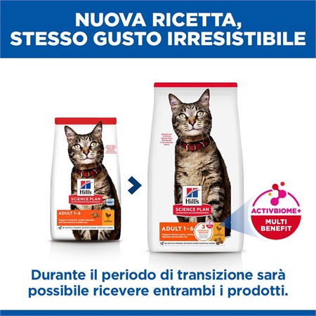 Hill's Science Plan Adult Pollo 10 kg Gatto in Gatti