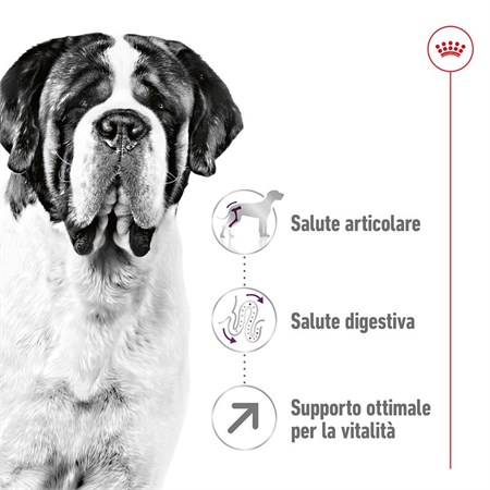 Royal Canin Giant Adult 4 kg Per Cane in Cani
