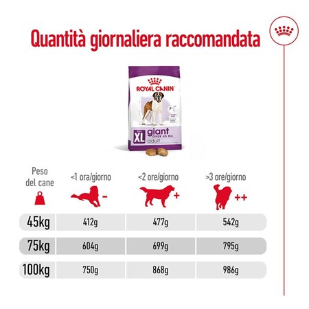 Royal Canin Giant Adult 4 kg Per Cane in Cani