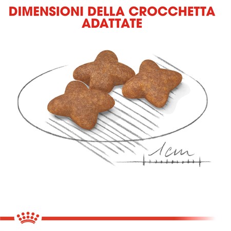 Royal Canin Mini Adult 800 gr Crocchette Cane Taglia Piccola in Cani