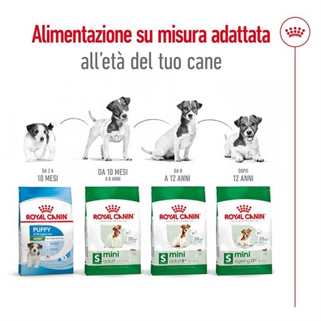 Royal Canin Mini Adult 8+ 800 gr per Cani in Cani